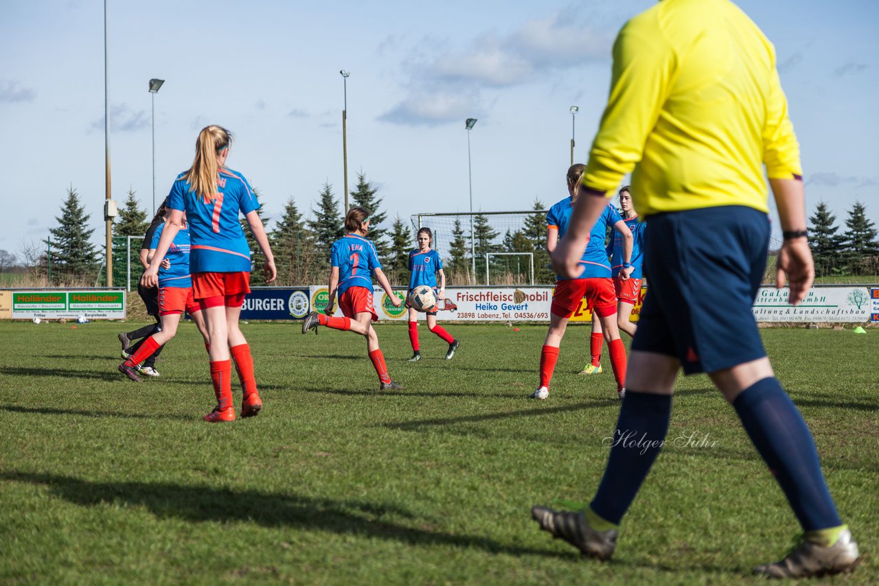 Bild 261 - C-Juniorinnen SV Steinhorst/Labenz - TSV Friedrichsberg-Busdorf : Ergebnis: 5:0